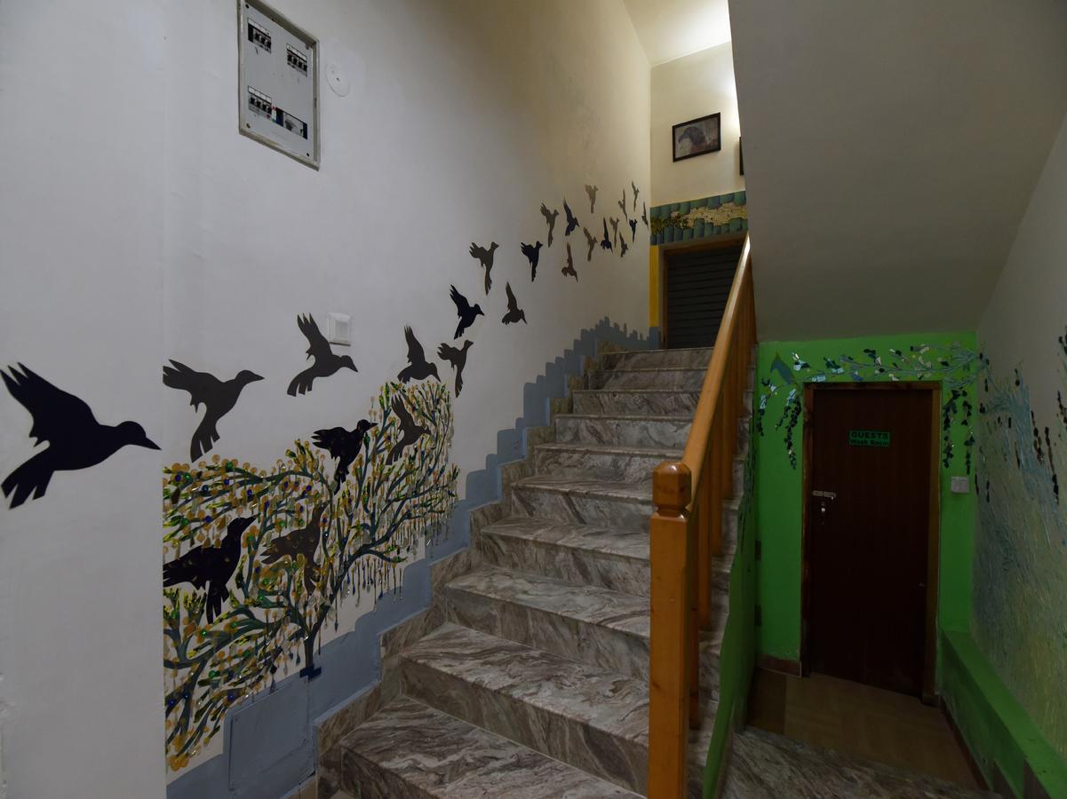 Mount Ville Cottages Manali (Himachal Pradesh) Ngoại thất bức ảnh